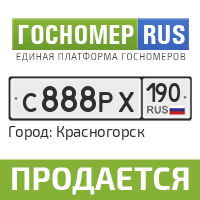 Гос номер ру. Гос номер рус. Гос номер 099. Госномер 21 ру. Госномера 125 рус.