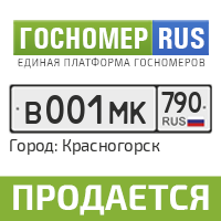 Гос номер ру. Госномер.ру. Гос номер в ок750. Гос номер 25. Гос номер рус Киров.